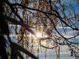 20221112_150155.jpg