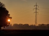 20221113_155401(0).jpg