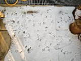 20221218_094140.jpg