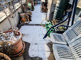 20221218_094249.jpg