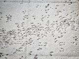 20221218_094311(0).jpg