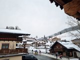 20230130_161907.jpg