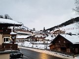 20230201_071839.jpg