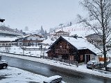 20230201_105021.jpg