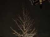 20230202_055951.jpg