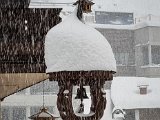20230202_090048.jpg