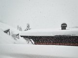 20230202_090215.jpg