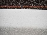 20230202_090551.jpg