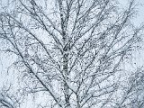 20230202_090623.jpg