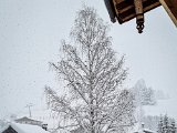 20230202_100300.jpg