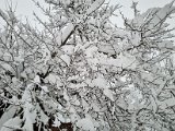 20230202_111852.jpg