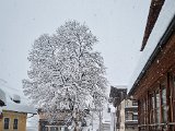 20230202_113153.jpg