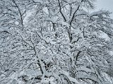 20230202_113159.jpg