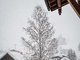 20230202_155659.jpg