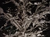 20230203_011933.jpg
