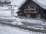 20230204_072619.jpg