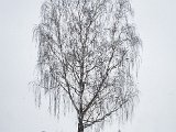 20230204_131647(0).jpg