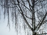 20230204_131650.jpg