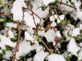 20230121_080054.jpg