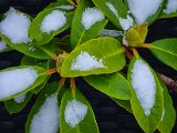 20230121_080109.jpg