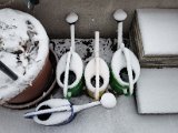 20230121_080215.jpg