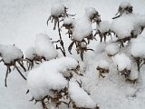 20230121_081228(0).jpg