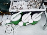 20230121_081308.jpg