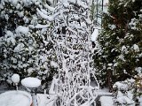 20230121_081340.jpg