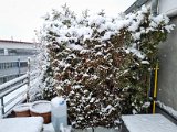 20230122_102745.jpg