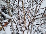 20230122_102828.jpg