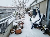 20230122_102852.jpg