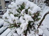 20230122_102932(0).jpg