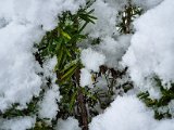 20230122_103017.jpg