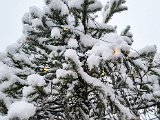 20230122_103145.jpg