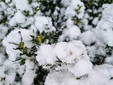 20230122_103154.jpg