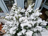 20230122_103205.jpg