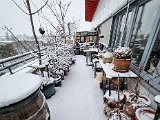 20230122_103214.jpg