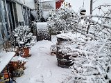 20230122_103317.jpg