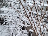 20230122_103322.jpg