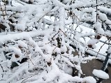 20230122_103333.jpg