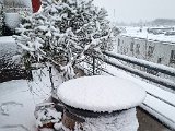20230122_103346.jpg