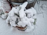 20230122_103409.jpg