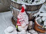 20230122_103422(0).jpg