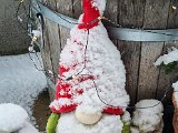 20230122_103447.jpg
