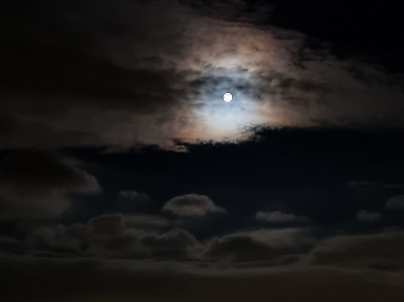 20220416_041821
