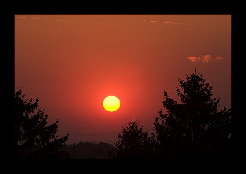 CRW_2019-01