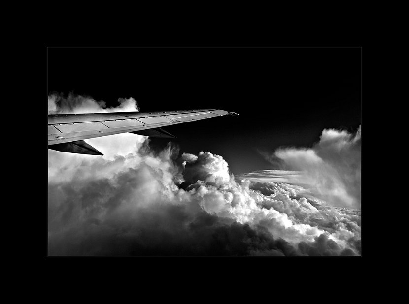Fly99