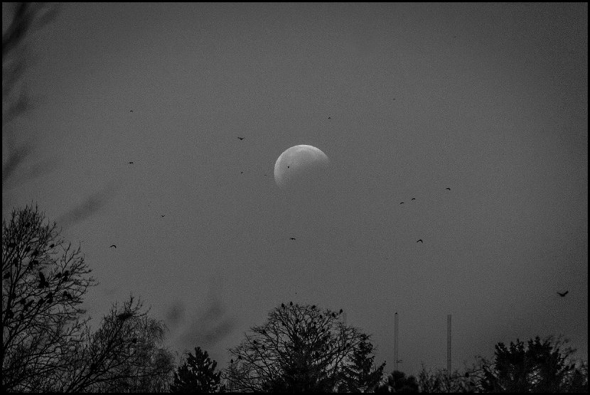 IMG_0978-2_jpg_small_moon