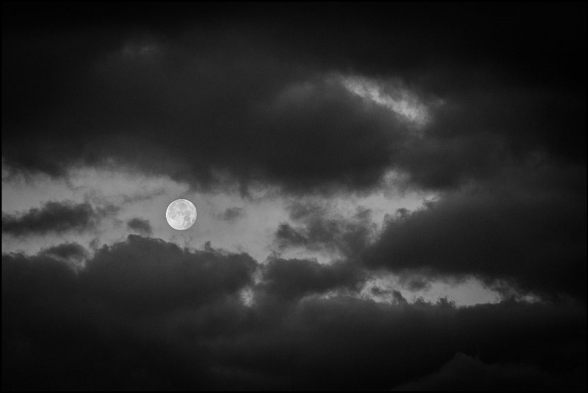 IMG_1789_mond_small
