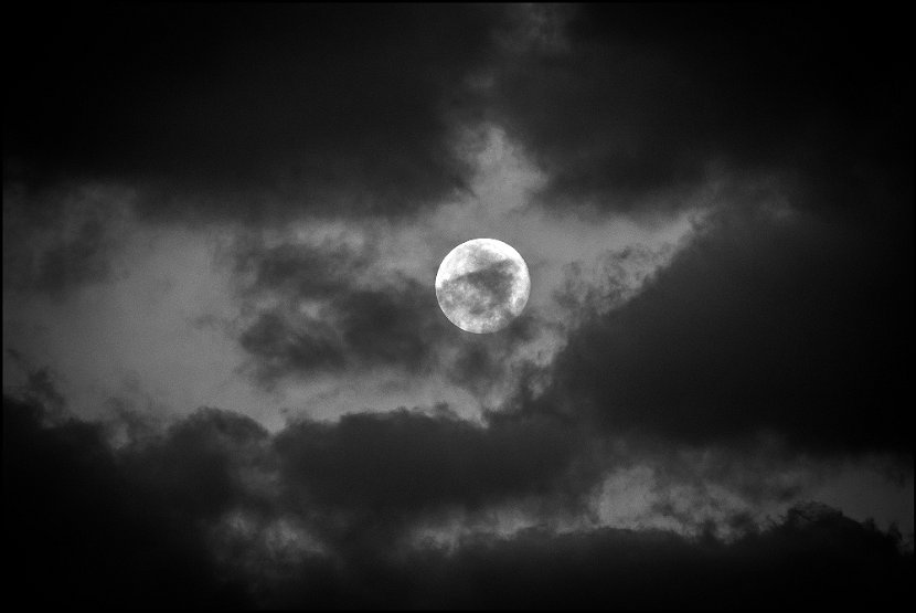 IMG_1798_mond_small